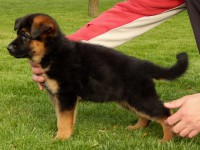 /album/fotogaleria1/stence-25-04-2016-058-jpg/